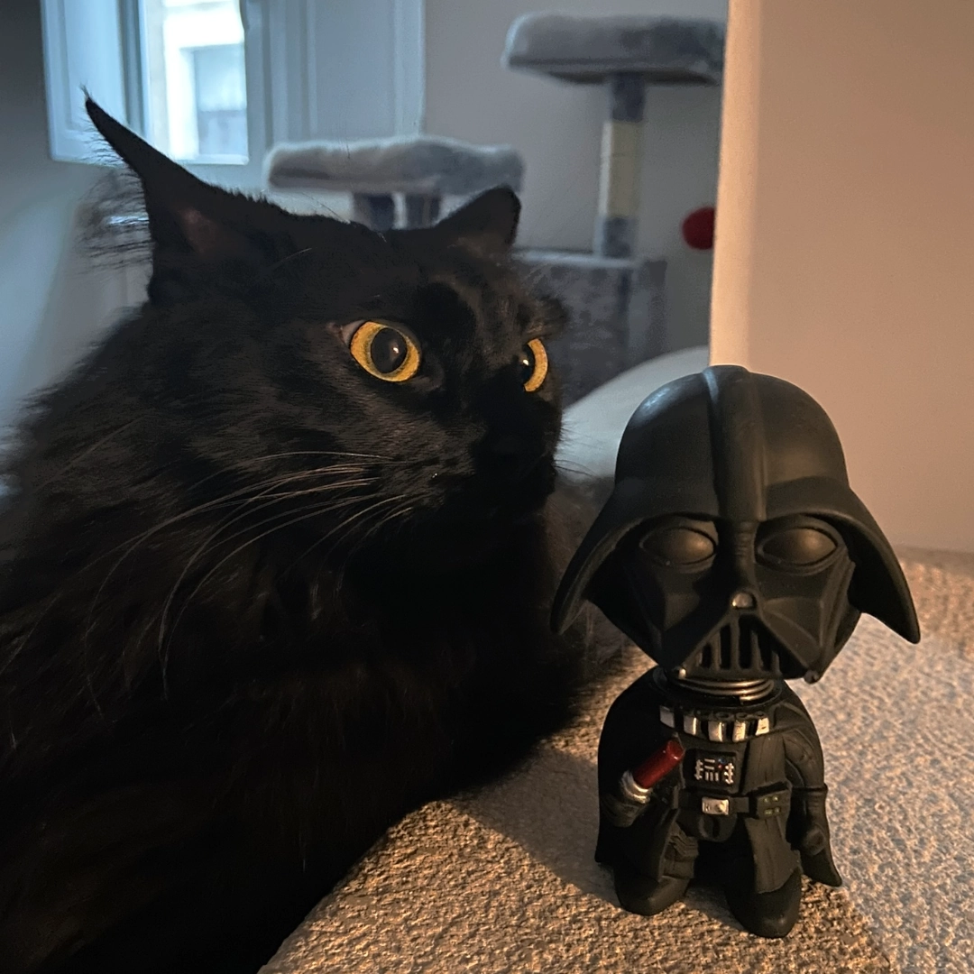 Zelda darth vader
